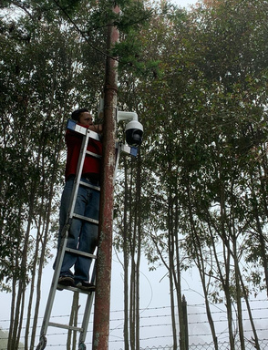 Proyecto de seguridad 7
